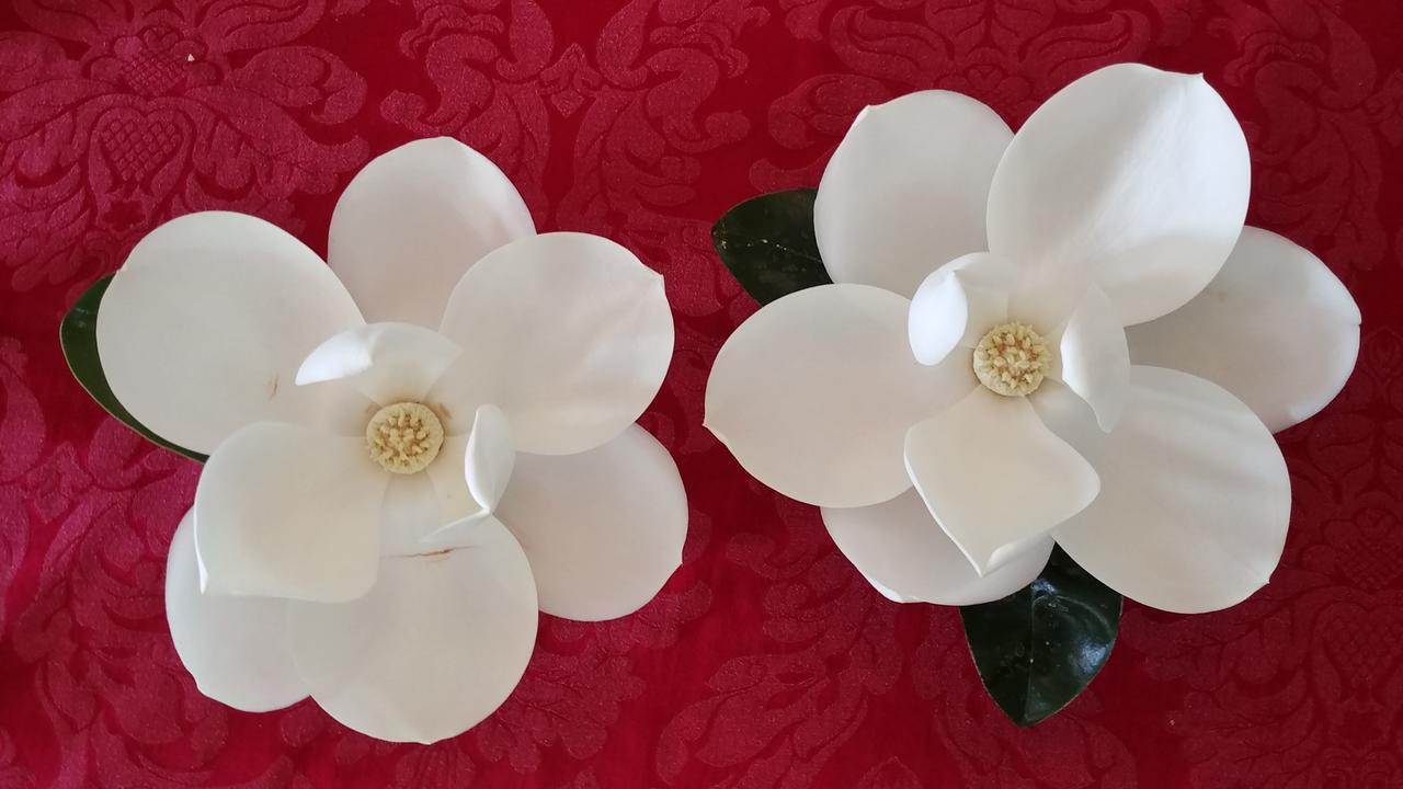 Fruits Of Vienna B&B Ngoại thất bức ảnh